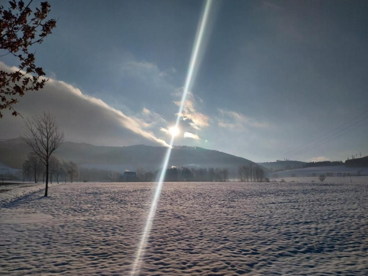 Ferienhaus Lena Im Sauerland Direkt Am Hennesee Meschede Εξωτερικό φωτογραφία