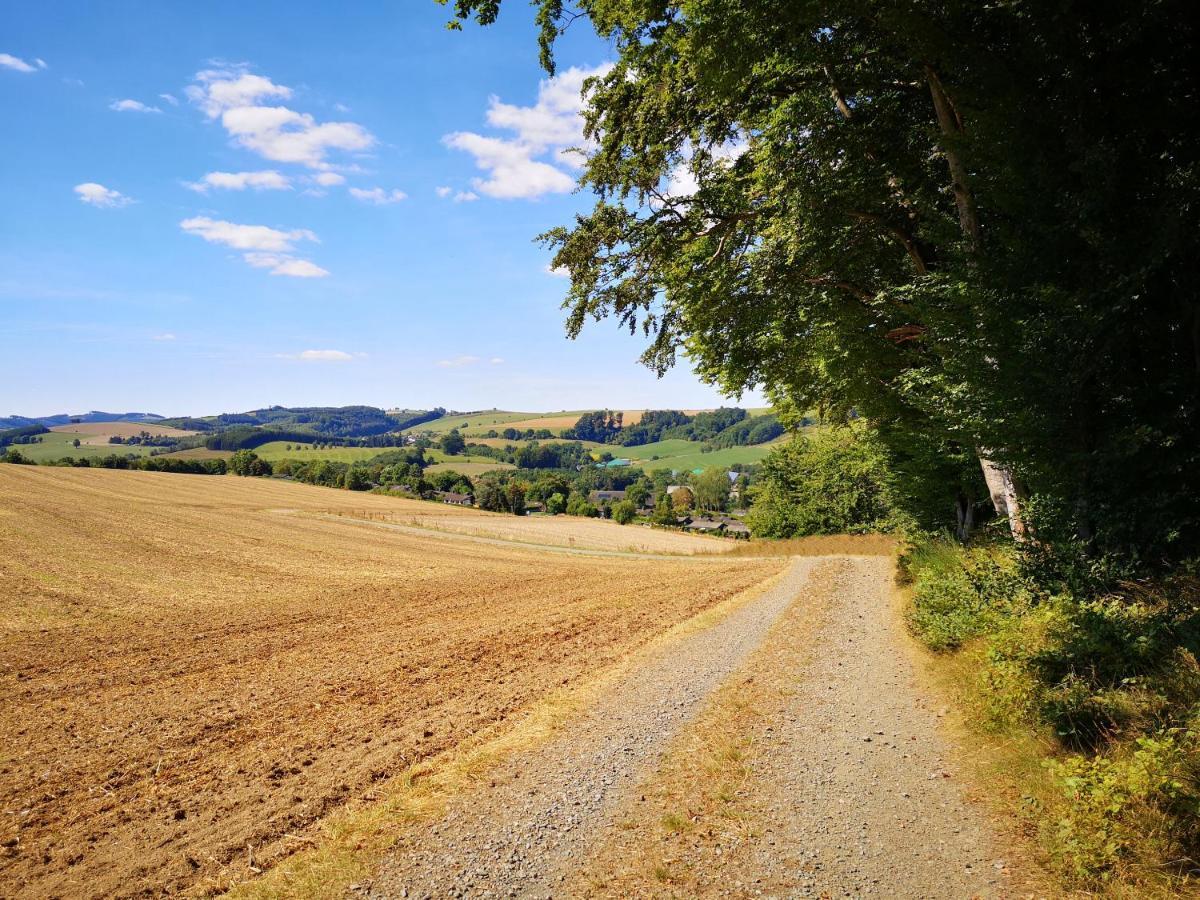Ferienhaus Lena Im Sauerland Direkt Am Hennesee Meschede Εξωτερικό φωτογραφία